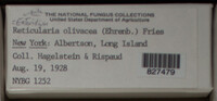 Image Associated With the Occurence